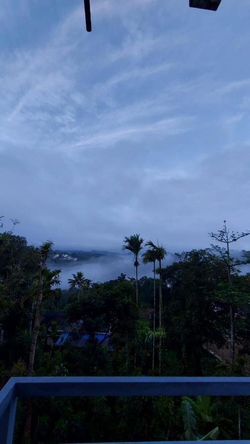 Greenpepperhomestay Munnar Anaviratty Buitenkant foto