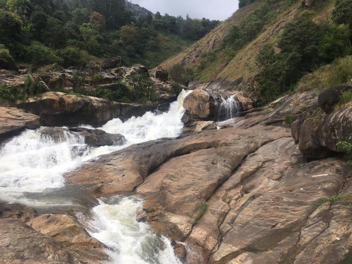 Greenpepperhomestay Munnar Anaviratty Buitenkant foto