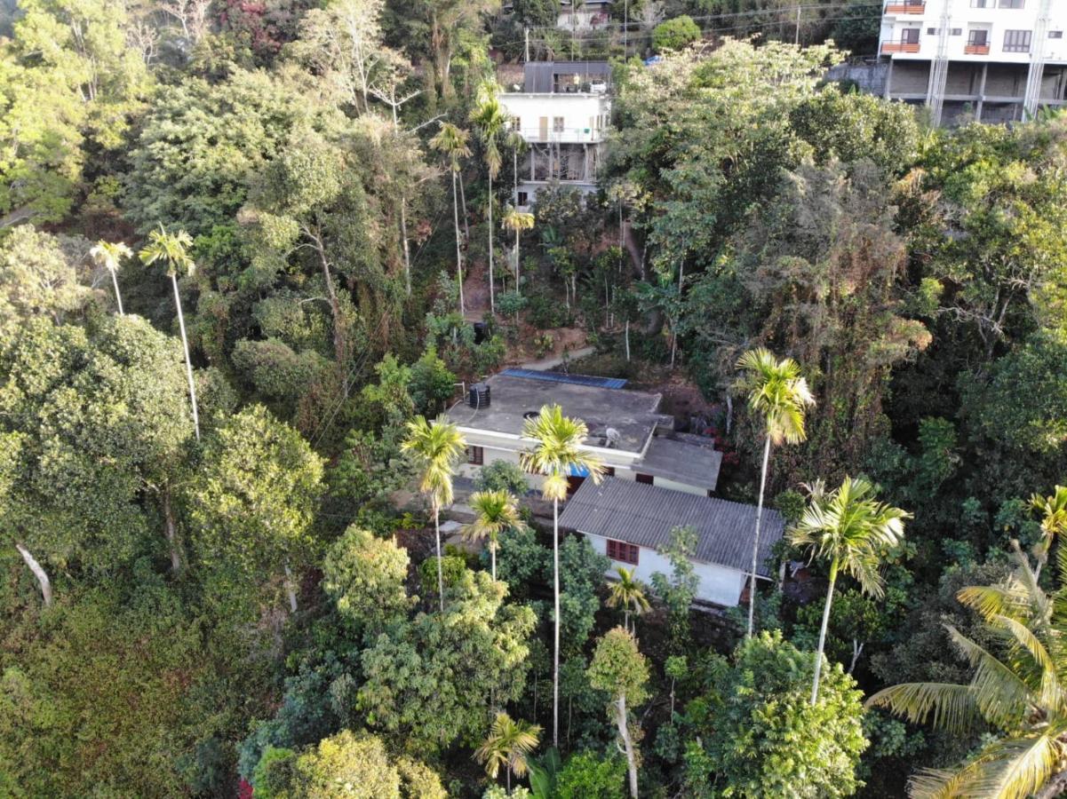 Greenpepperhomestay Munnar Anaviratty Buitenkant foto
